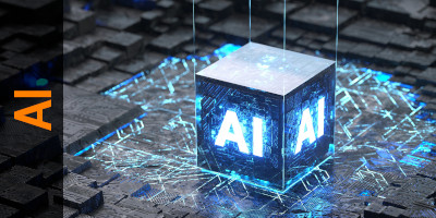 Systemy na zamówienie oraz Systemy AI